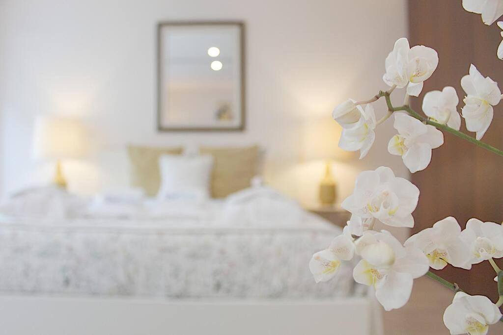 Oliveiras Charming Apartment Downtown Porto Luaran gambar
